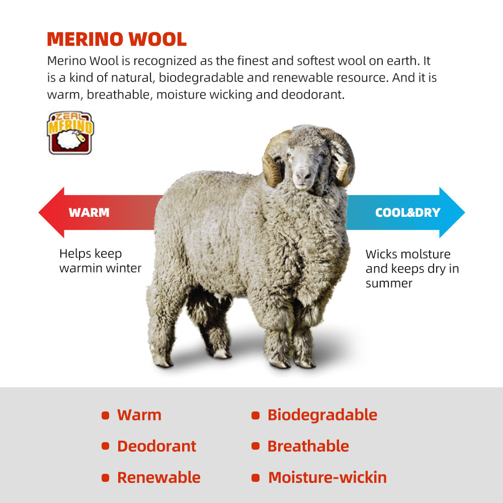 Zealwood meias de corrida de l - Wool Hiking Sock avaliação e preço