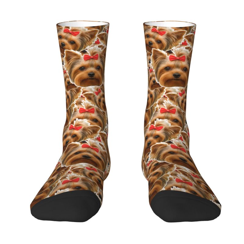 Bonito dos homens personalizad - Dress Sock Men avaliação e preço